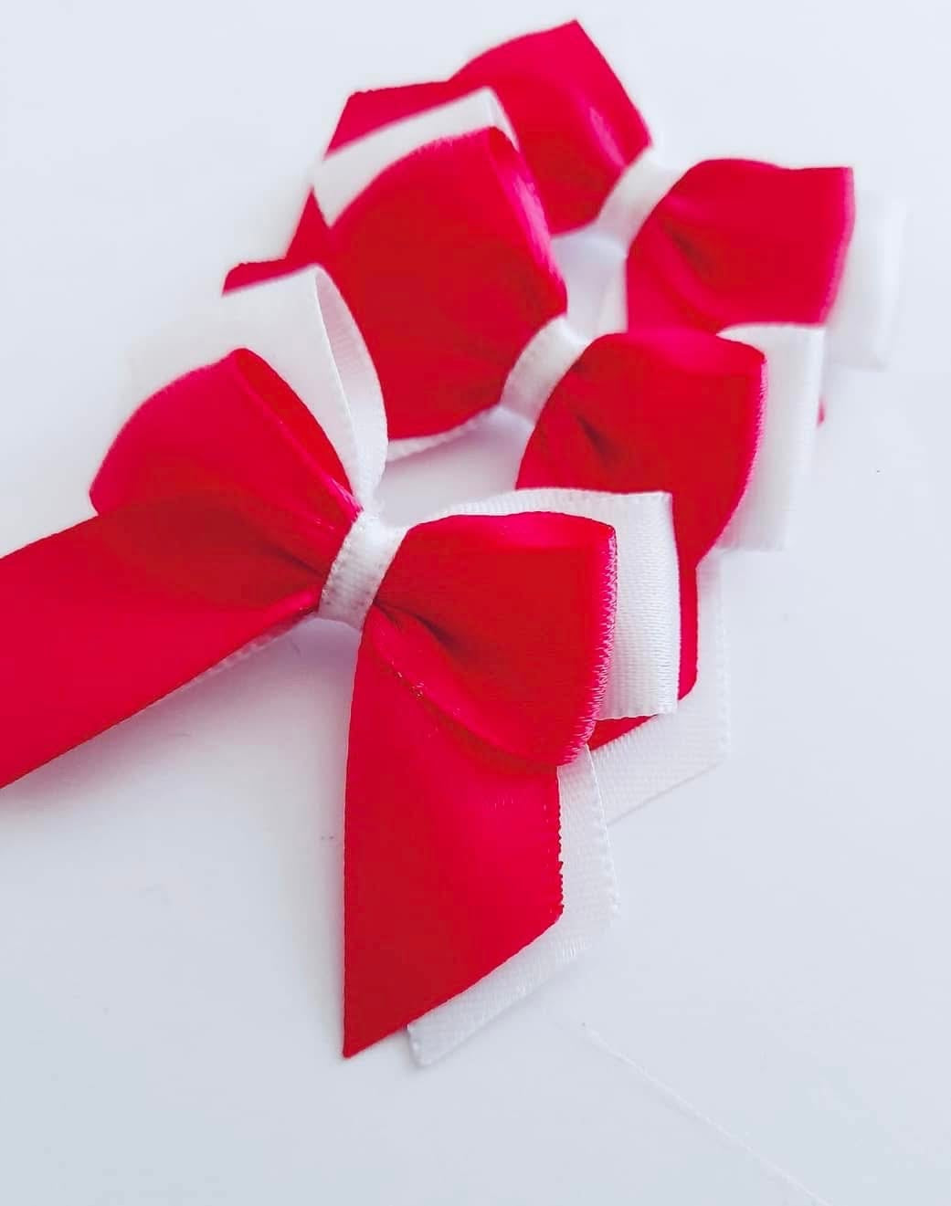 5cm double bows x 10